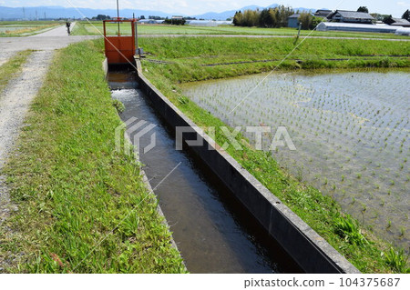 Agricultural canals Agricultural canals 104375687