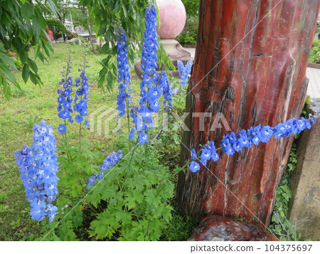 富士河口湖香草園 富士河口湖香草園 104375697