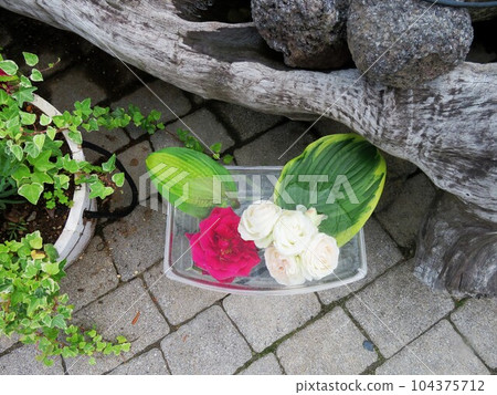 富士河口湖香草園 104375712