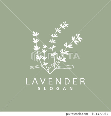 Lavender Logo, Simple Elegant Purple Flower Plant Vector, Greeting Card Design, Banner, Flower Ornament, Lavender Hand Drawn Wedding, Icon Symbol Illustration 104377017
