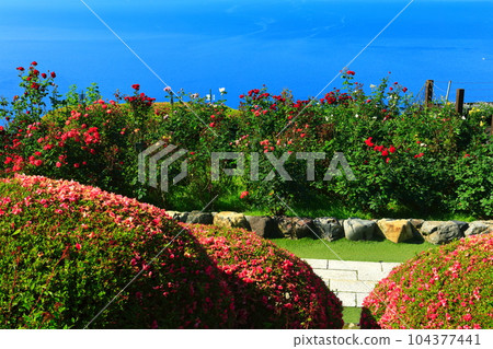 [福井縣] 從三方五湖彩虹線山頂公園（若狹灣）眺望的景色 104377441