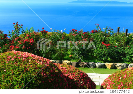 [Fukui Prefecture] View from Mikatagoko Rainbow Line Summit Park (Wakasa Bay) 104377442