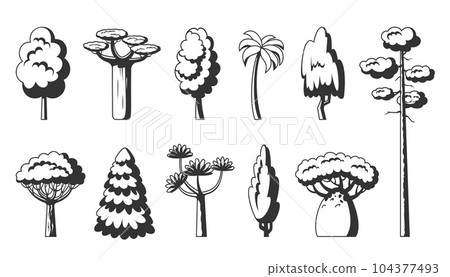 Tree icon set. Black stamp stencil of forest stylized eco plants side view. Dracaena willow cypress thuja pine oak poplar birch spruce maple baobab palm sequoia aspen alder ash linden acacia chestnut Tree icon set. Black stamp stencil of forest stylized eco plants side view. Dracaena willow cypress thuja pine oak poplar birch spruce maple baobab palm sequoia aspen alder ash linden acacia chestnut 104377493
