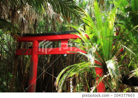 Looking up at the beautiful torii of Misaki Shrine Looking up at the beautiful torii of Misaki Shrine 104377603