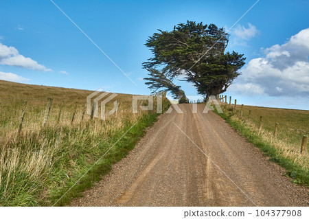 Rural dirt road through New Zealand farms 104377908