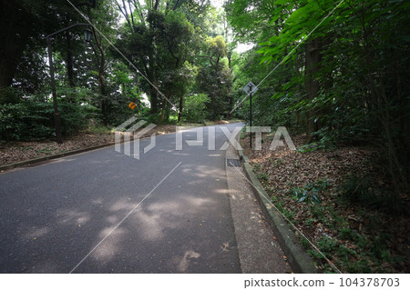 初夏,山路維護良好的人行道和道路 初夏,山路維護良好的人行道和道路 104378703