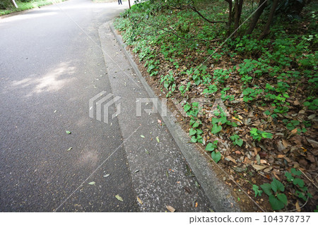 初夏,山路維護良好的人行道和道路 初夏,山路維護良好的人行道和道路 104378737