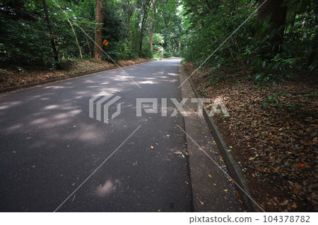 Early summer, well-maintained sidewalks and roads on mountain roads Early summer, well-maintained sidewalks and roads on mountain roads 104378782