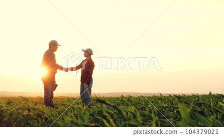 two farmers work tablet sunset, farming teamwork group people contract handshake agreement sunset corn wheat, agronomists going young sunset plantation farmer managers use soy rural harvest farmers two farmers work tablet sunset, farming teamwork group people contract handshake agreement sunset corn wheat, agronomists going young sunset plantation farmer managers use soy rural harvest farmers 104379021