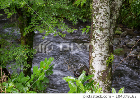 新綠立岩水源風景 新綠立岩水源風景 104379162