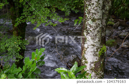 新綠立岩水源風景 新綠立岩水源風景 104379163