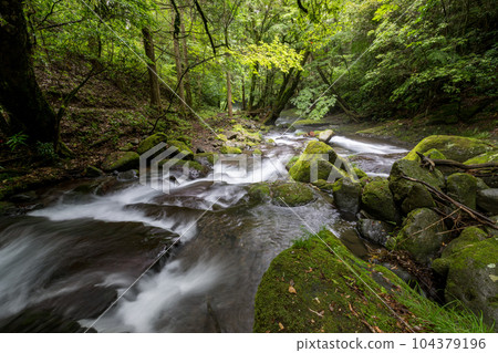 新綠立岩水源風景 新綠立岩水源風景 104379196