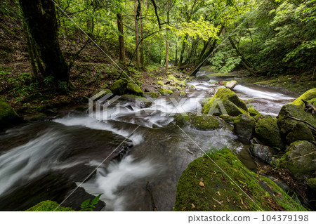 新綠立岩水源風景 新綠立岩水源風景 104379198