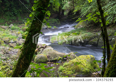 Scenery of fresh green Tateiwa water source Scenery of fresh green Tateiwa water source 104379293