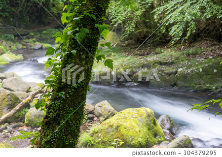 新綠立岩水源風景 新綠立岩水源風景 104379295