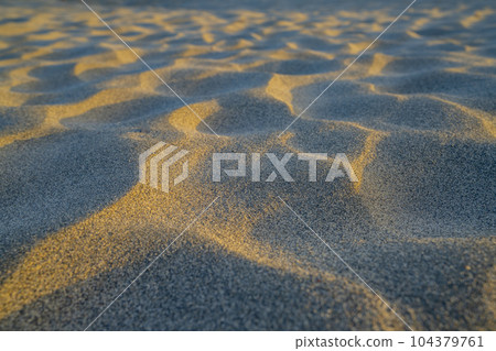 靜岡縣濱松市中田島沙丘的清晨 靜岡縣濱松市中田島沙丘的清晨 104379761