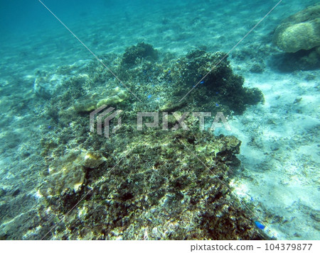 宮古島，浮潛，沖繩 104379877