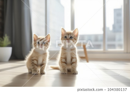 一隻可愛的小貓在美麗的客廳裡玩耍“人工智能生成的圖像” 一隻可愛的小貓在美麗的客廳裡玩耍“人工智能生成的圖像” 104380137