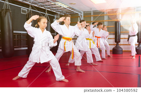 Schoolchilds practicing new technique in karate class Schoolchilds practicing new technique in karate class 104380592