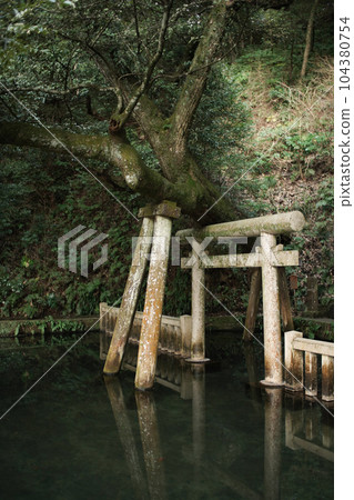 鹿島神社/御手洗池神社 104380754