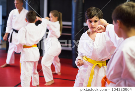 Two boys working in pair, mastering new karate moves 104380904