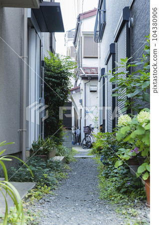 Neatly maintained residential alley Neatly maintained residential alley 104380906