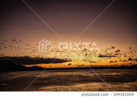 馬根的飛行 104381004