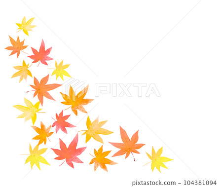 Maple decoration painted by watercolor Maple decoration painted by watercolor 104381094