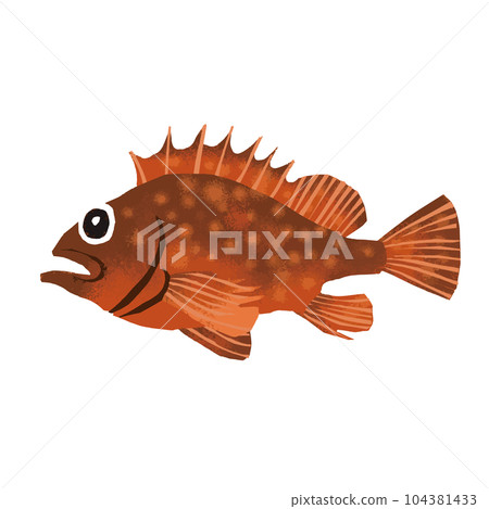 Scorpion fish watercolor style illustration Scorpion fish watercolor style illustration 104381433