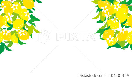 lemon refreshing background illustration lemon refreshing background illustration 104381459