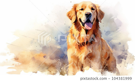Golden retriever - watercolor 104381999