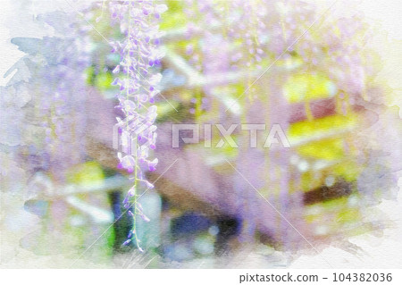 [Aichi Prefecture] Watercolor painting of wisteria trellis in Meijo Park, Nagoya City 104382036