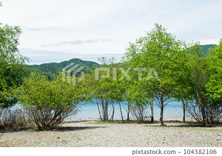 本栖湖｜綠樹成蔭的湖畔景觀 104382106