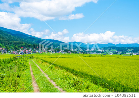 夏季鄉村景觀（8月） 104382531