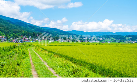 夏季鄉村景觀（8月） 104382532