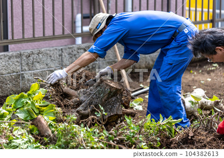 砍伐園林樹木 104382613
