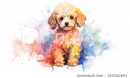 玩具貴賓犬水彩 104382843