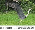 一隻鳥 104383036