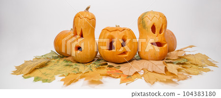 Group of jack-o-lantern on maple leaves. Halloween decoration on a white background. Widescreen.  104383180
