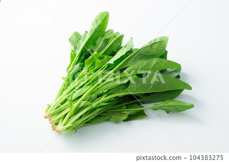 菠菜/新鮮蔬菜（白色背景） 104383275