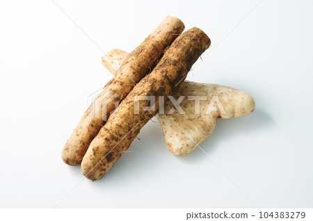 Yam/Yamato yam/Fresh vegetables (white background) 104383279