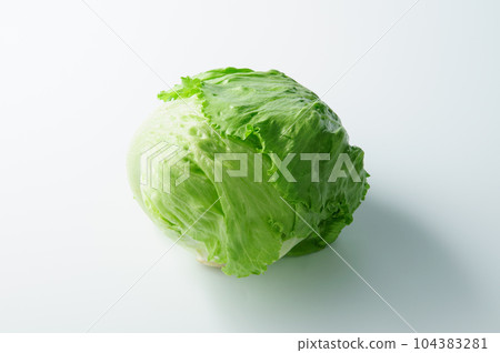 生菜/新鮮蔬菜（白色背景） 104383281