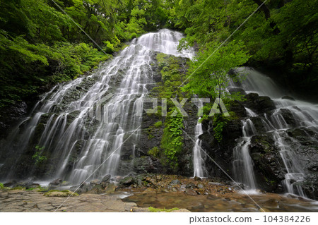 RyuzōgakiFall(福井縣今治郡池田町) RyuzōgakiFall(福井縣今治郡池田町) 104384226