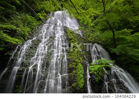 RyuzōgakiFall(福井縣今治郡池田町) RyuzōgakiFall(福井縣今治郡池田町) 104384229