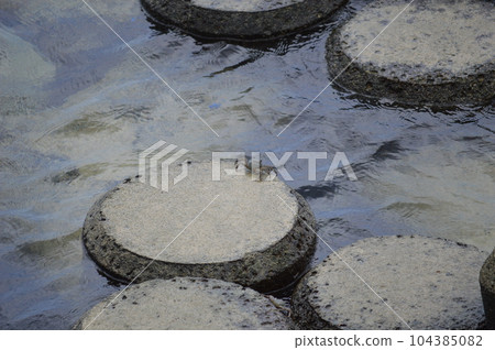 螃蟹即將跳入海中 104385082