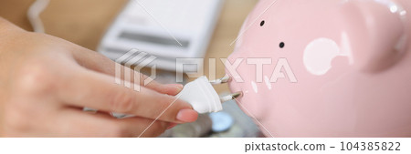 Piggy bank with power plug, banknotes and coins Piggy bank with power plug, banknotes and coins 104385822