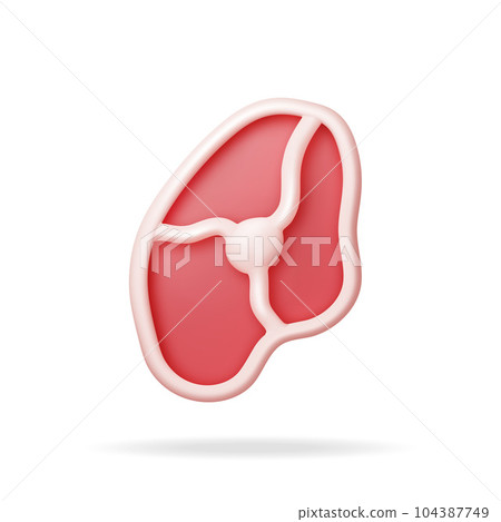 3D Meat Steak Isolated on White. 3D Meat Steak Isolated on White. 104387749