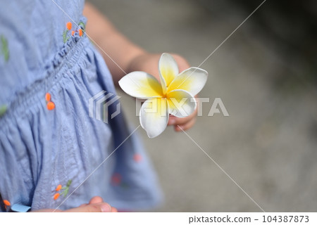 child with plumeria 104387873