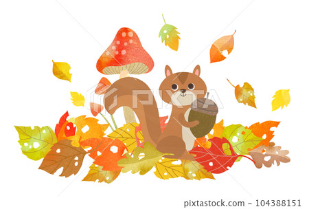 松鼠和落葉 104388151