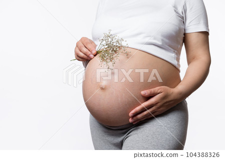 Close-up pregnant abdomen of gravid woman holding gypsophila bunch and embracing her big belly in late pregnancy time, isolated white background. The concept of women's heath, gynecology and maternity Close-up pregnant abdomen of gravid woman holding gypsophila bunch and embracing her big belly in late pregnancy time, isolated white background. The concept of women's heath, gynecology and maternity 104388326